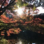 軽井沢 川上庵 本店 - 雲場池