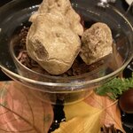 ガストロノミー ジョエル・ロブション - 白トリュフ