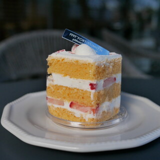 フォルテシモ アッシュ_1