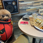 THE NUTS EXCHANGE - 目の前のスピーカーの音が良いよ♪