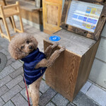 THE NUTS EXCHANGE - 入口前のメニューで「ちょーだいポーズ」ｗ