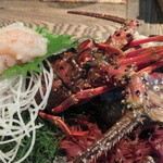 かね吉 一燈庵 - 伊勢海老のお造り