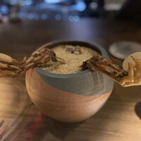 yokoyama - 
