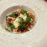 Felicelina - Primo Piatto：ブッラータとトマトソースをたっぷりまとったヴェスビオが美味