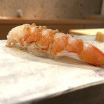 鮨でじま - 海老(今まで食べた海老でダントツ美味しかったです)