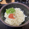 さか枝うどん 南新町店