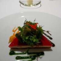 ロドラント ミノルナキジン - 