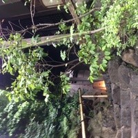 柚子屋旅館・一心居 - 店内までのアプローチ