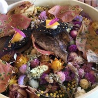 能勢 日本料理 新 - 