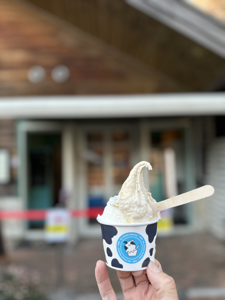 フェイスクリーム pipi 写真 : icecream factory PiPi （ピピ【旧店名】東京みるく工房