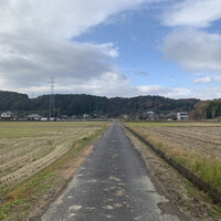 洋食 つばき - 