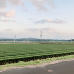 かしわ・鶏刺し専門店 大摩桜 - 