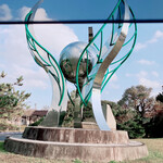 かしわ・鶏刺し専門店 大摩桜 - 