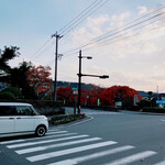 かしわ・鶏刺し専門店 大摩桜 - 
