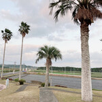 かしわ・鶏刺し専門店 大摩桜 - 