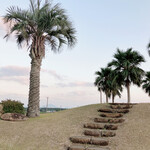 かしわ・鶏刺し専門店 大摩桜 - 