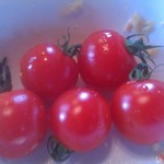 ダニエルハウス - トマト食べ放題！