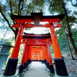 手打ち蕎麦・鮨 いまふく - 