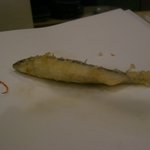 美かさ - 天然アユ