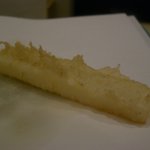 美かさ - アオリ烏賊