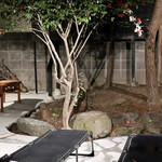 Shokudou Kiwami - ととのいの庭園