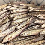 富小路 やま岸 - 