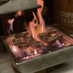 アントシカダ - 