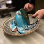 アントシカダ - 