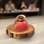 アントシカダ - 