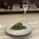 アントシカダ - 