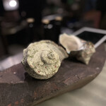 アントシカダ - 