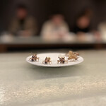 アントシカダ - 