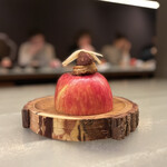 アントシカダ - 