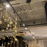 Nicolai Bergmann NOMU - 