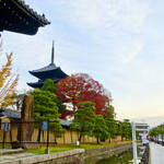 御菓子司 東寺餅 - 東寺