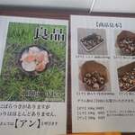 ねこのしいたけ屋さん - 等級の説明その２