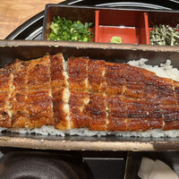 うなぎ四代目菊川 ミッドランドスクエア 名古屋本店 - 