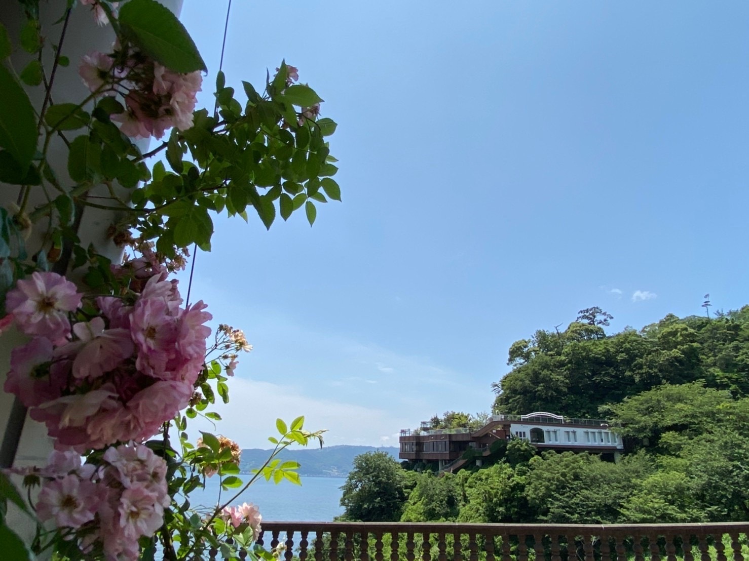 花の妖精