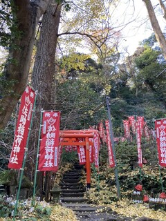 樹ガーデン - 朝の神社っていいナぁーなんてこの時は呑気でした。