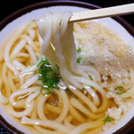 さか枝うどん - 