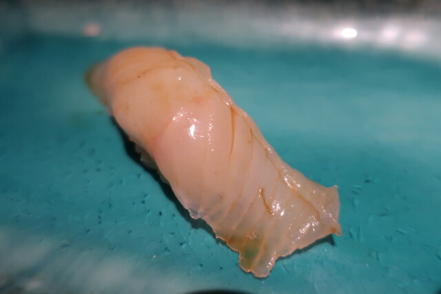 鮨 葵結（AOI） - 南小樽（寿司）の写真