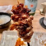 鳥しき - 2022.11.  食道