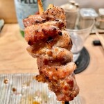 鳥しき - 2022.11.  恥骨