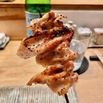 鳥しき - 2022.11.  かっぱ