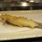 天ぷら　酒菜　醍醐 - 稚鮎　絶品！
