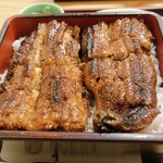 Sumibiyaki Unagi Higashiyama Bussan - 