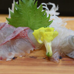 寿司・うなぎ 羽子吾 - 黒鯛と平目のお造り（ハーフ） 　　　　　　      赤貝のお造り（肝付き）