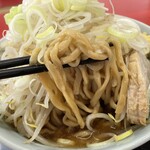 ラーメン もっけだの - 『ラーメン普通ニンニク野菜マシマシ+ネギ』の麺