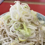 ラーメン もっけだの - 『ラーメン普通ニンニク野菜マシマシ+ネギ』のネギ