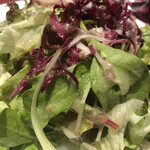 おいしい料理とワインのお店 Sole - サラダもシャッキリ。ドレッシングも美味しい。